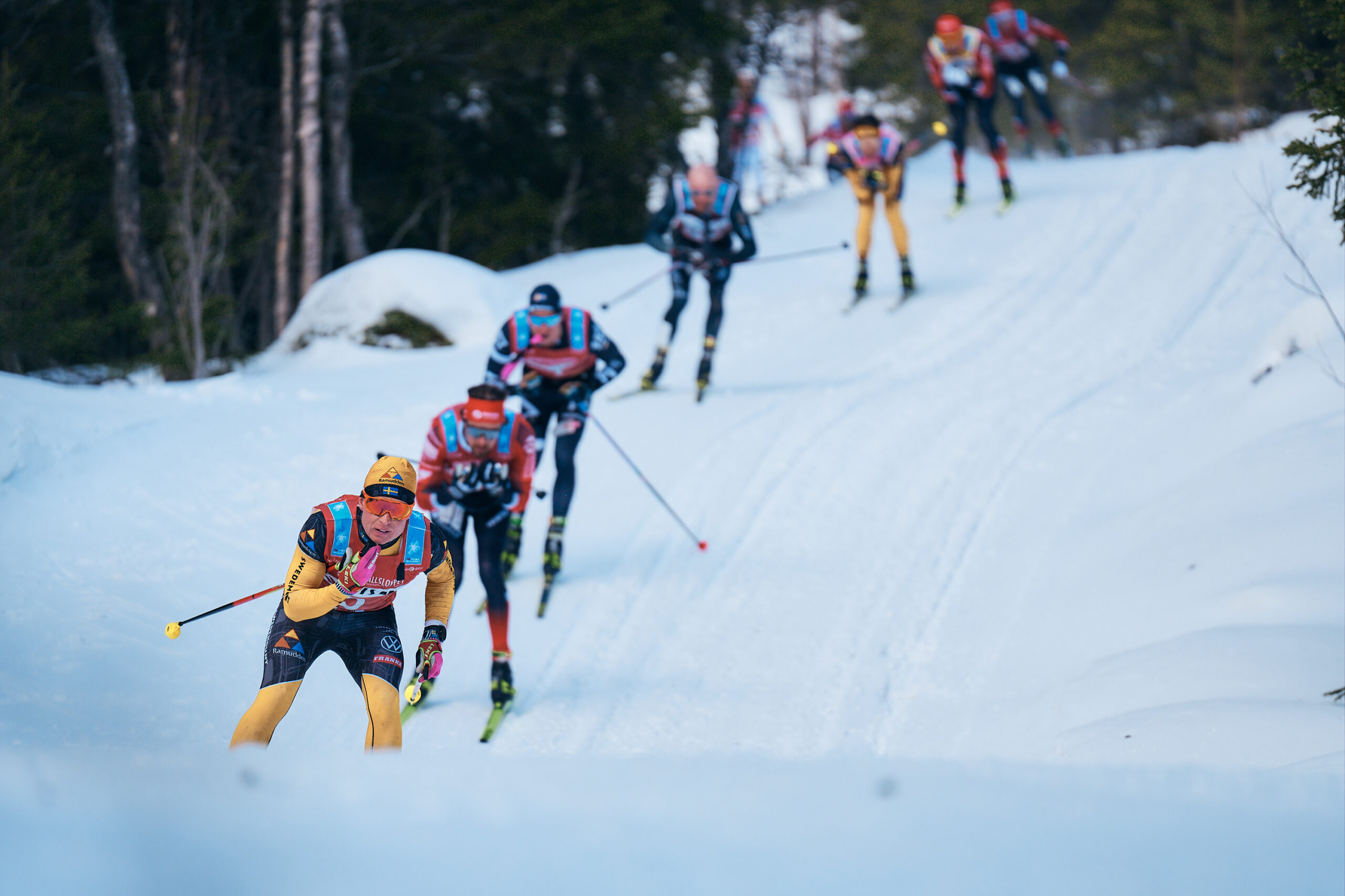 Ski Training Terminology ProXCskiing