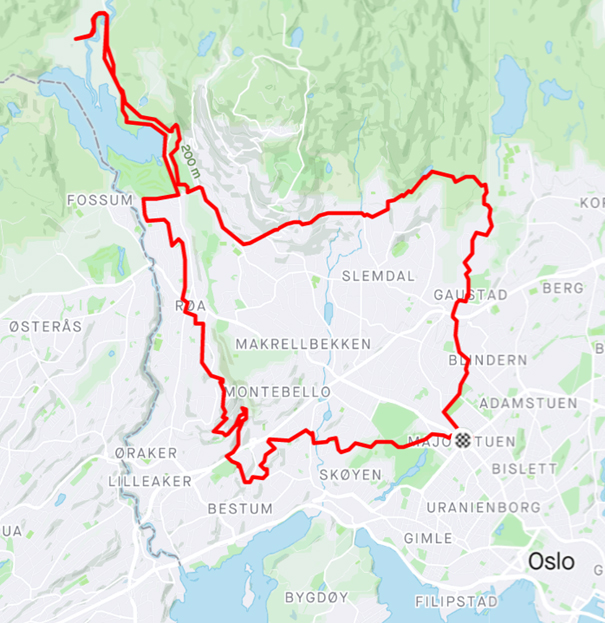 Traseen gjenskapt.jpg