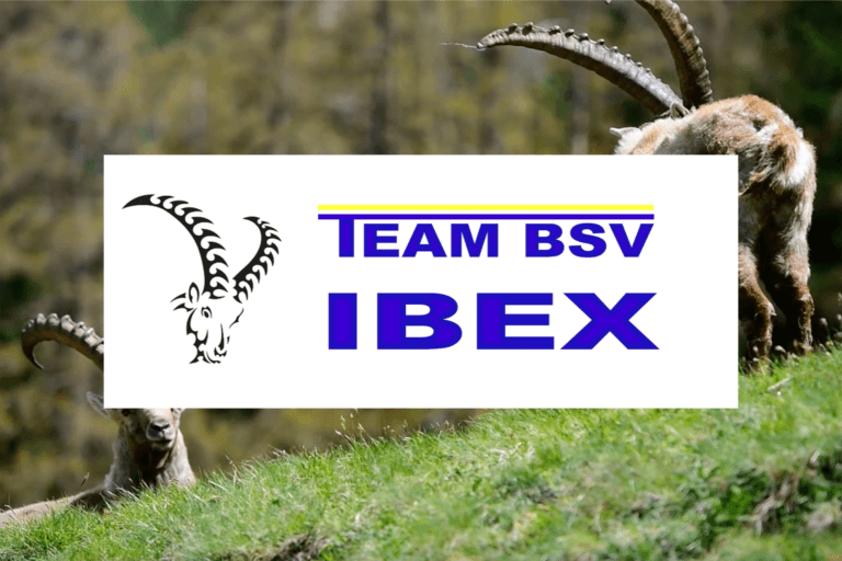 BSV IBEX
