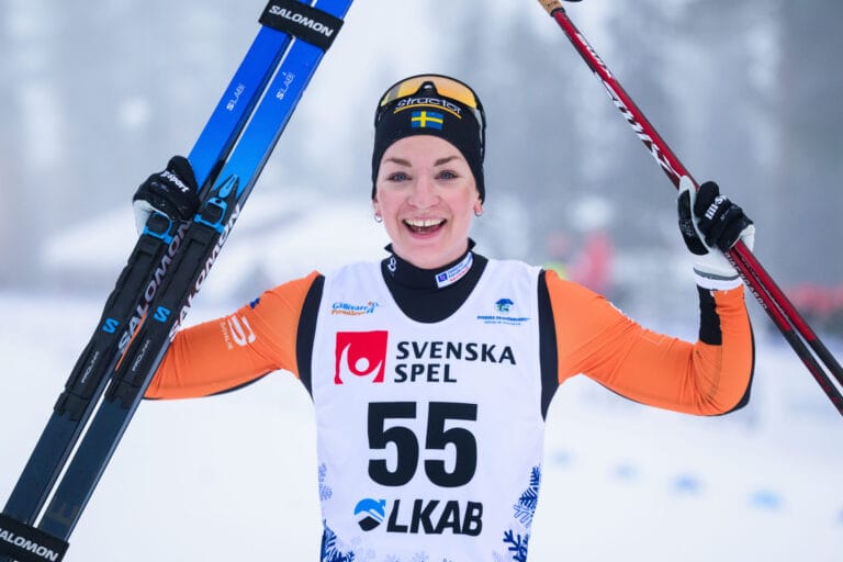 Gällivare Moa