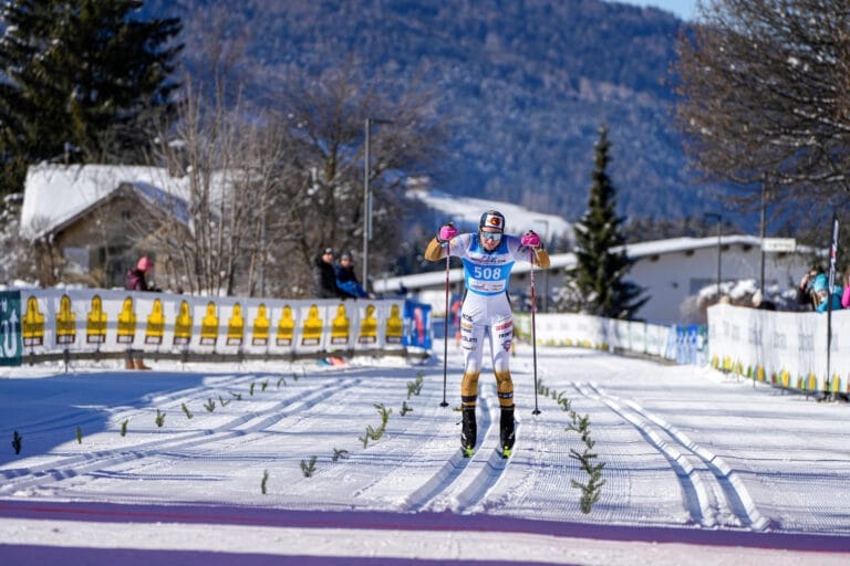 Finnish Roivas