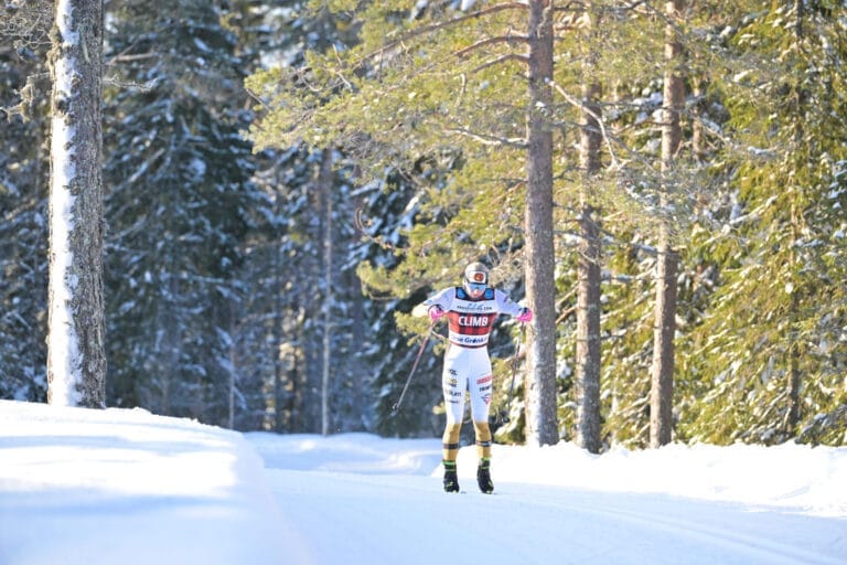 Finnish Roivas