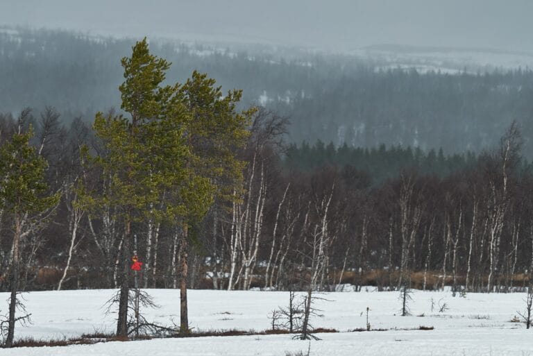 Årefjällsloppet Shortened And With New Start Times