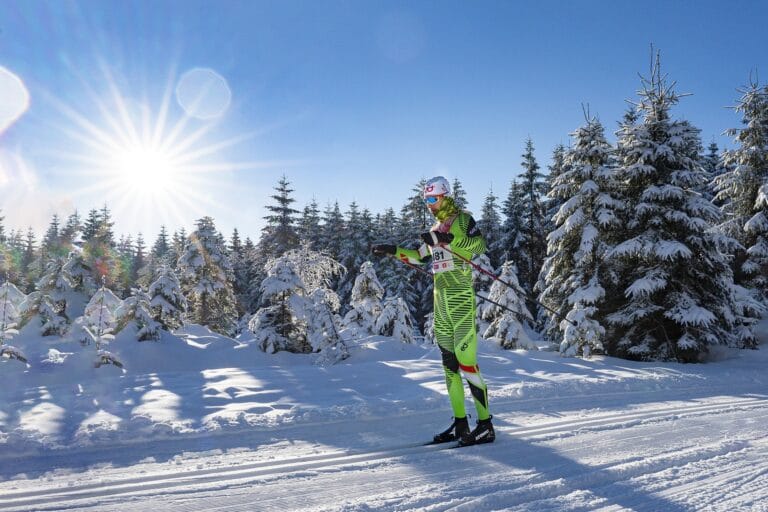 Silly Season: eD system Silvini Team Looking For New Talents