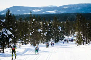 Birkebeinerrennet