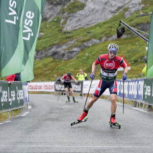 Norwegian Krüger