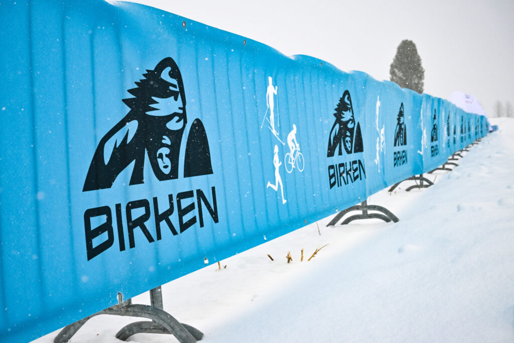 Birken