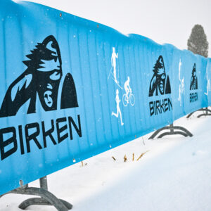 Birken