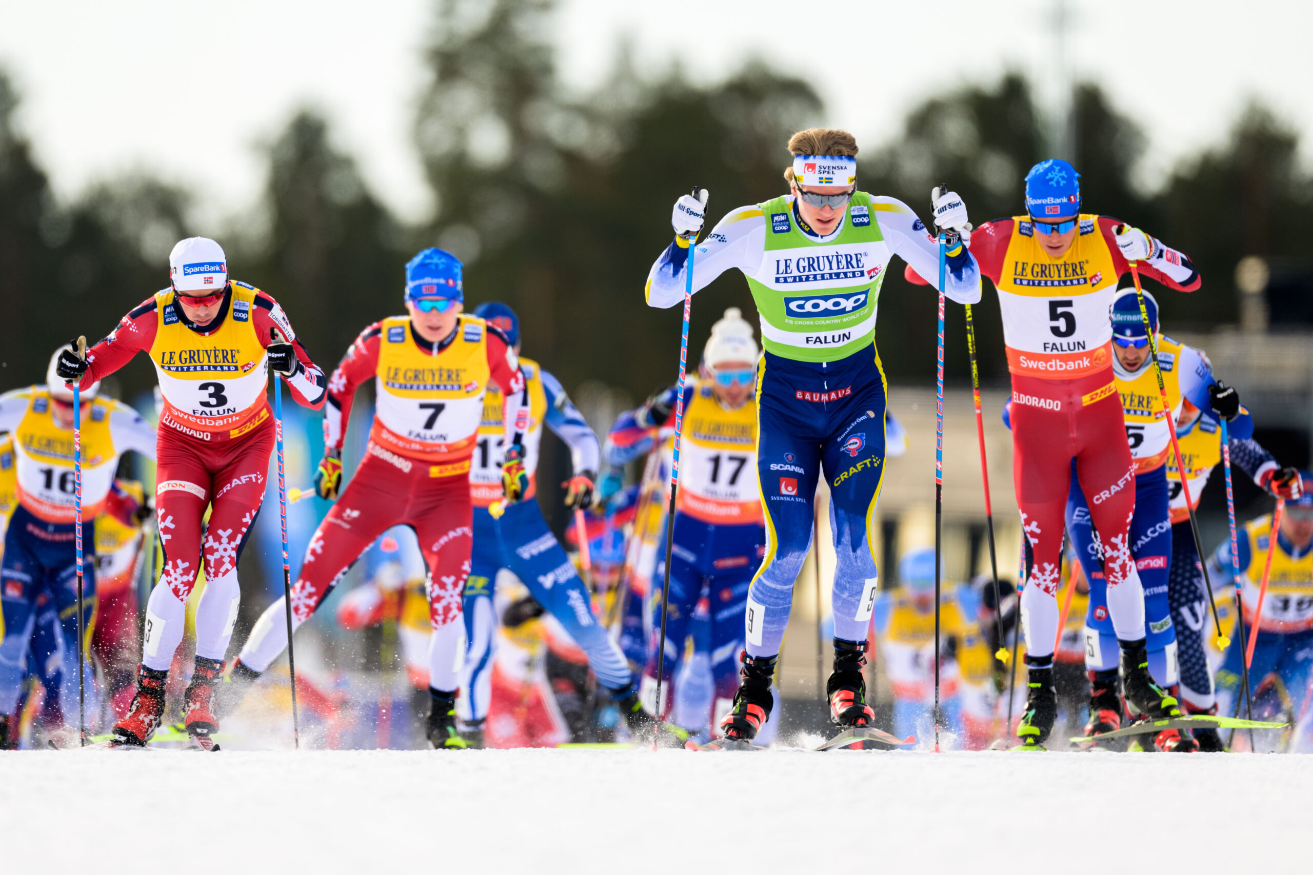 2025/2026年冬季スキーシーズンの見どころ：伝統的なクロスカントリー