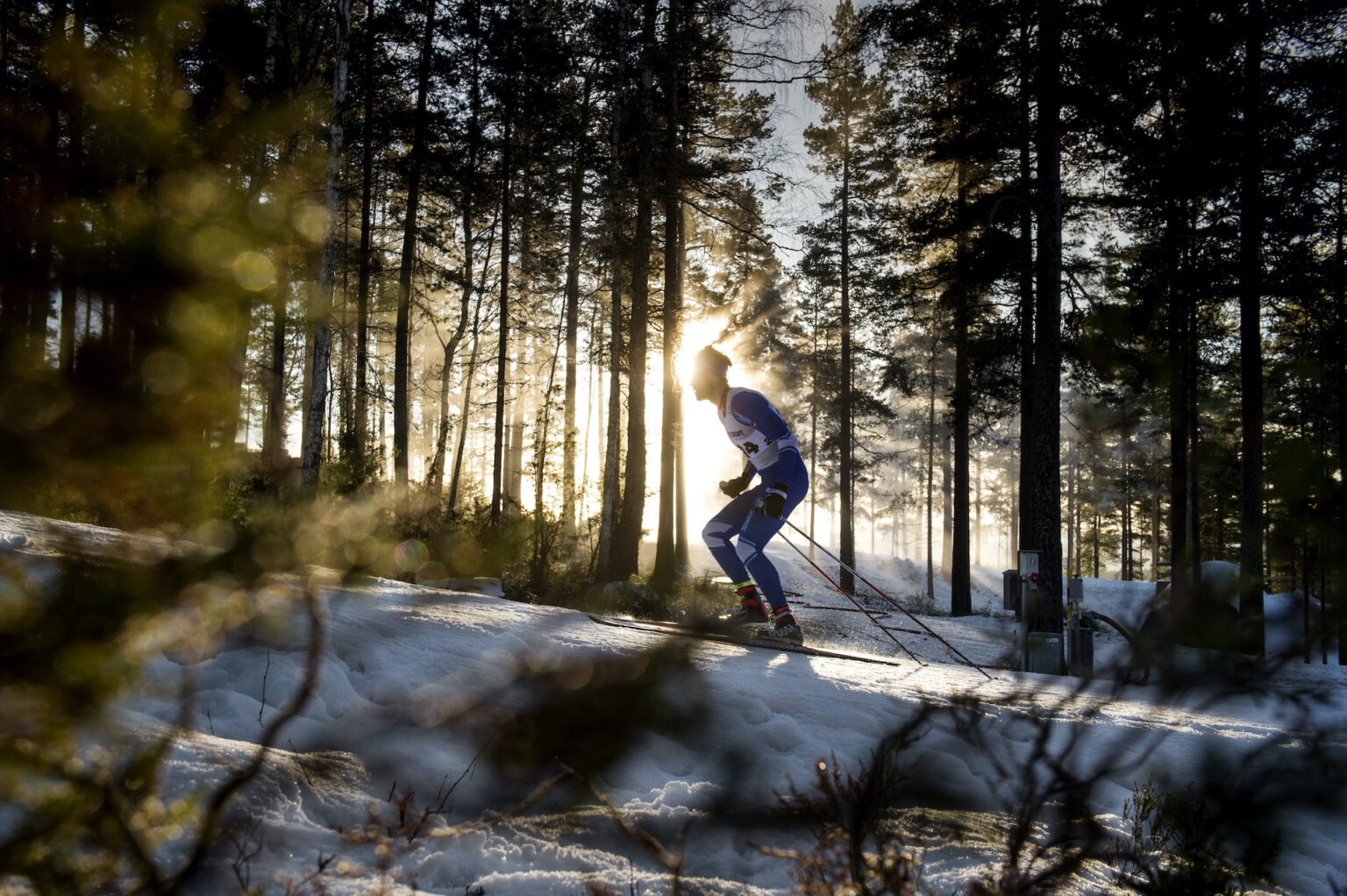 Scandinavian Cup: Program, start lists and start times for the sprint ...