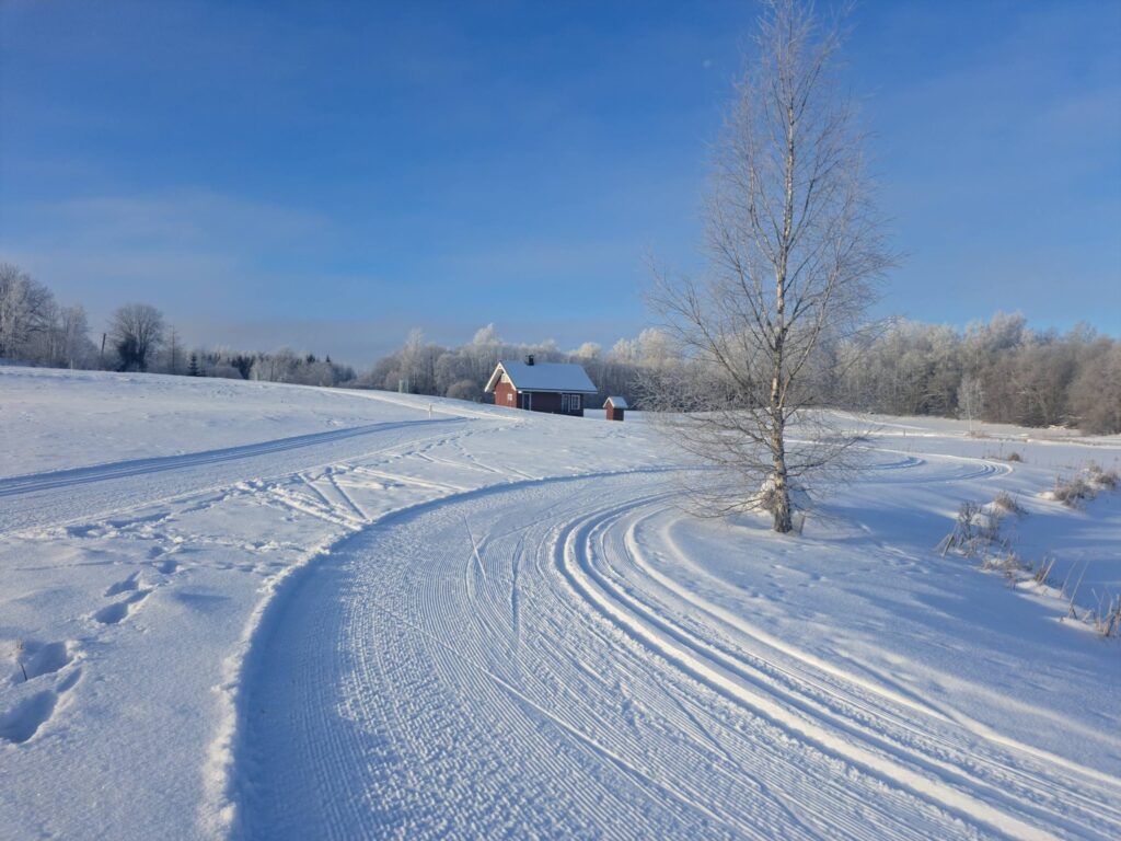 Zelta Klasika