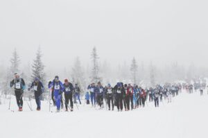 Birkebeinerrennet