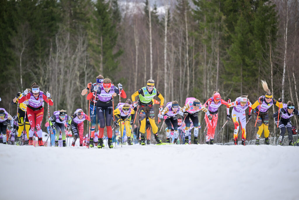 Birkebeinerrennet