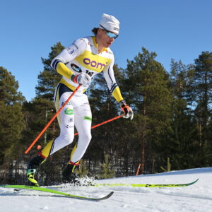 Inari Alexander Ståhlberg