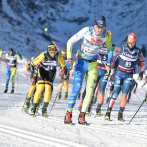 Eläinlääkäri Nilsson