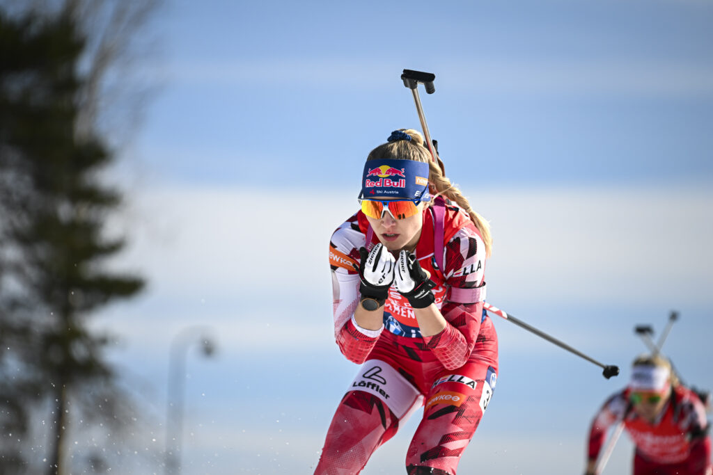 Austrian Gandler