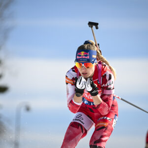 Austrian Gandler