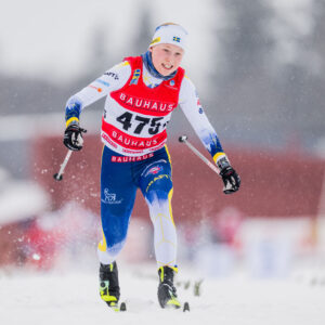 Elvira Niva