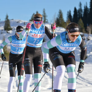 Team Emtec Nordic