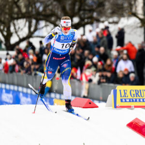 Swedish Ilar