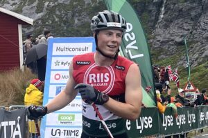 Hedegart Lysebotn
