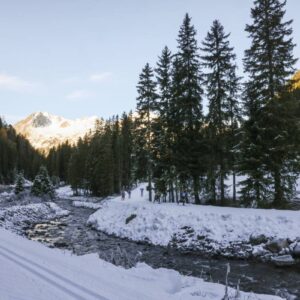 ski