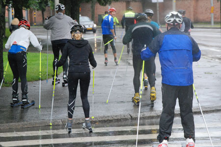 P&aring; v&auml;g ut p&aring; Djug&aring;rden. FOTO: Johan Trygg.