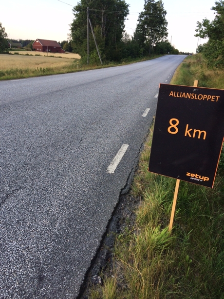 allians_8km.jpg