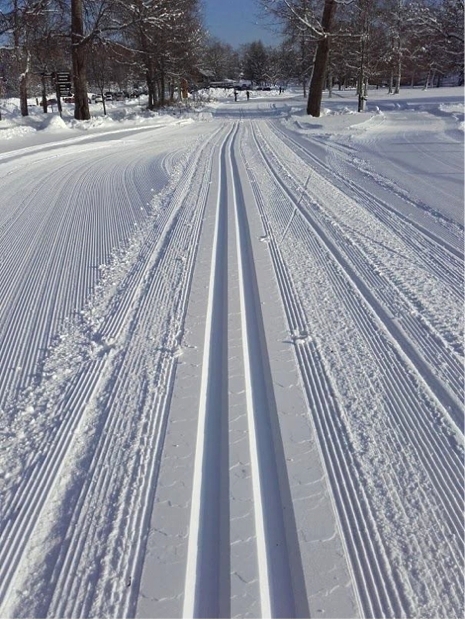 Spår i toppklass väntar för deltagarna i Bessemerloppet på söndag. FOTO: Arrangören.