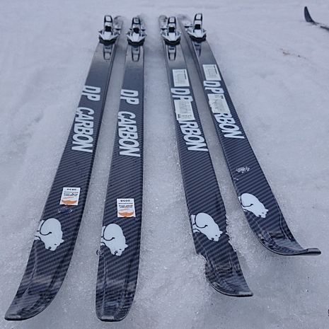 dp_carbon_465.jpg