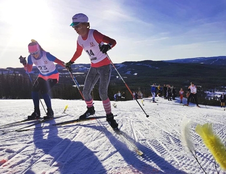 Kliv, kliv, överlev uppför Gopshusbacken. FOTO: Mora skidgymnasium.