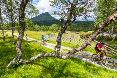 Omr&aring;det vid Mitt&aring;kl&auml;ppen bjuder p&aring; fin cykling. FOTO: Anders Robertsson.