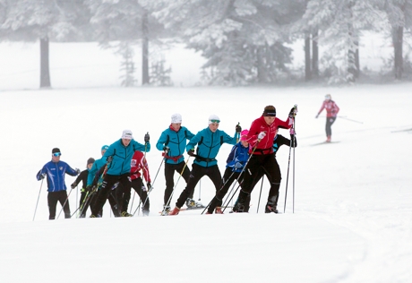 snö_gvare_151109_2.jpg