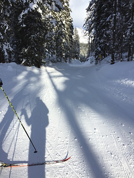 Kaiser Maximilian Lauf g&aring;r delvis p&aring; VM-banorna. H&auml;r strax efter att Alex Harvey f&ouml;rsvann ur bild. FOTO: Johan Trygg/L&auml;ngd.se.