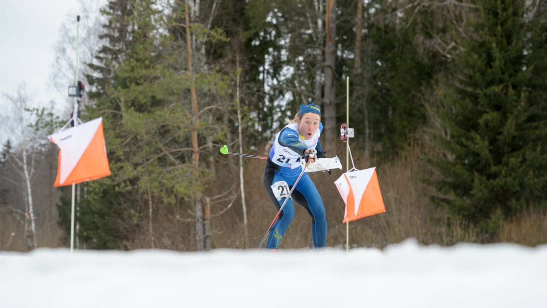 Lisa Larsen p&aring; v&auml;g mot sin andra medalj vid skidorienterings-VM i Estland. FOTO: Donatas Lazauskas.